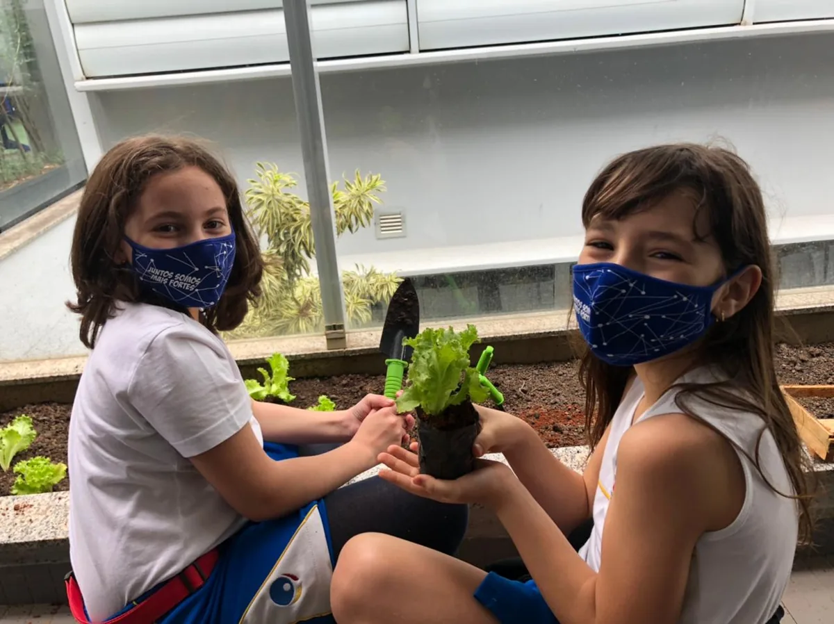 Mãos na horta — Ensino Fundamental — Anos Iniciais