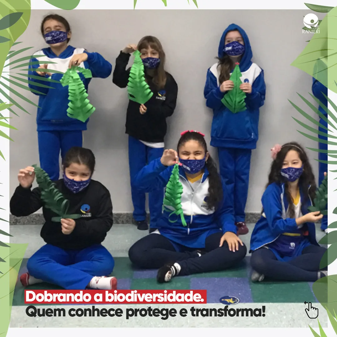 Projeto Mata Atlântica — Ensino Fundamental — Anos Iniciais